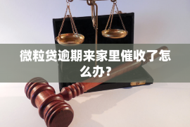 安陆融资清欠服务